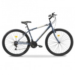 Raleigh Nexus229M-22 29" MTB