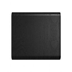 Klipsch Flexus Subwoofer