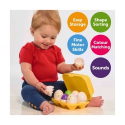 Tomy Hide 'N' Squeak Eggs E1581