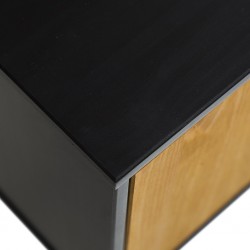 Lavis TV Stand With 2 Doors