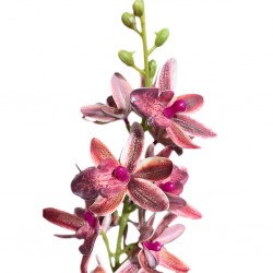 Artificial Flower Purple 75 cm CM246224
