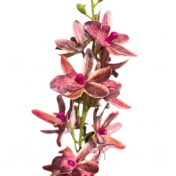 Artificial Flower Purple 75 cm CM246224