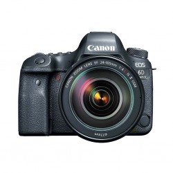 Canon EOS 6D Mk II & 24-105 IS STM Lens (26 MP)
