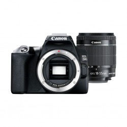 Canon EOS 250D (24 MP) Essential Travel Kit