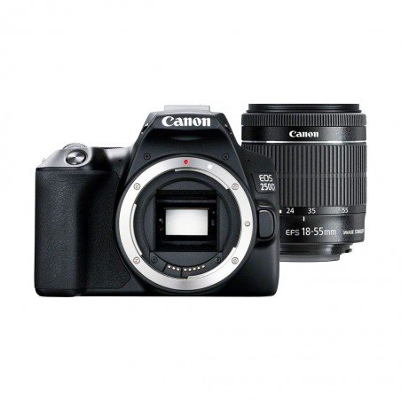 Canon EOS 250D - Cameras - Canon Central and North Africa