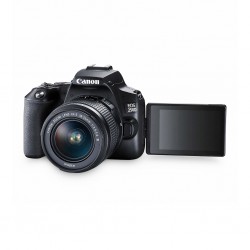 Canon EOS 250D (24 MP) Essential Double Lens Kit