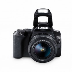 Canon EOS 250D (24 MP) Essential Double Lens Kit