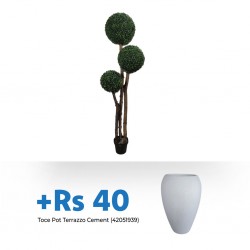Faux Plant Boxwood Tree 1.5m & Toce White Pot Terrazzo Cement