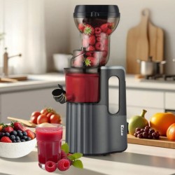 Rico SJ2508 Slow Juicer 5YW on Motor
