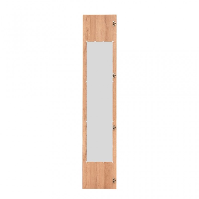 Built In Closet Red Oak Door With Mirror Inside