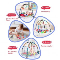 Baby Gym Mat 3 In 1 With 30 Pcs Of Ocean Ball 023-74B