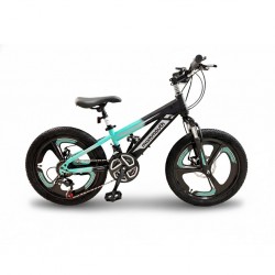 Mammouth 2025B 20'' Boys Bike