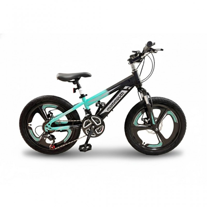 Mammouth 2025B 20'' Boys Bike