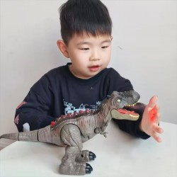 Masen Dinosaur Set With Light R/C 2.4G 13143-69