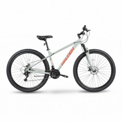 Raleigh Ranger29-24 29'' Raleigh Ranger Mtb
