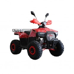 Easy One QWATV-08D RAPTOR 125cc Spider Red ATV