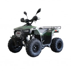 Easy One QWATV-08D RAPTOR 125cc Camo Green ATV