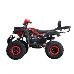 Easy One BULL Red 250Ccc ATV