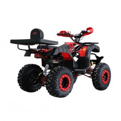 Easy One BULL Red 250Ccc ATV