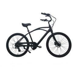 Raleigh Seahawk-25 26'' Seahawk Electric Cruiser