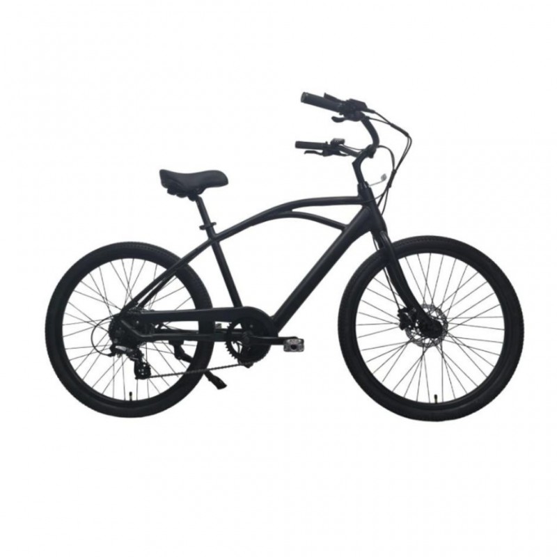 Raleigh Seahawk-25 26'' Seahawk Electric Cruiser