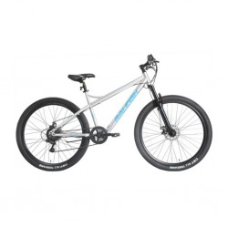 Raleigh Assisteb-23 29'' Assist Electric Bike