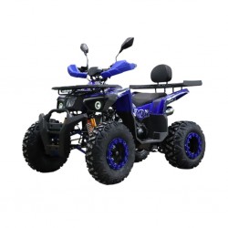 Easy One BUMBLEBEE 200cc Blue ATV