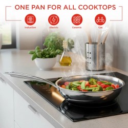 Vinod PXF24 Platinum Triply SAS Pro 24cm Frypan