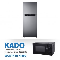 Samsung RT19T3008GS...