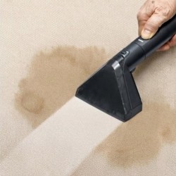 Cornell CFCE600S Steam Scrub Spot Cleaner