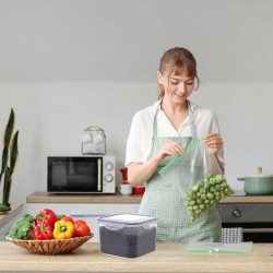 Westinghouse WCFC002802F 2.4L Square Food Storage Box