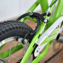 Champion YM-1201 12" Green Boys Bike