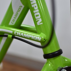 Champion YM-1201 12" Green Boys Bike