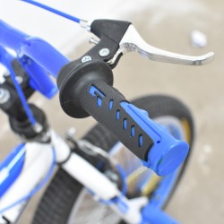 Champion 20" Freestyle Bike