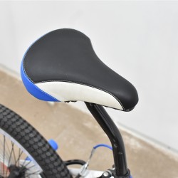 Champion 20" Freestyle Bike