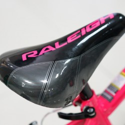 Raleigh Enduro20GMDD-17 20'' Girls Mountain Bike