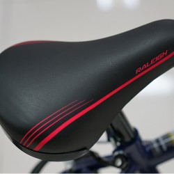 Raleigh Eclipse16G-18 16'' Girls BMX