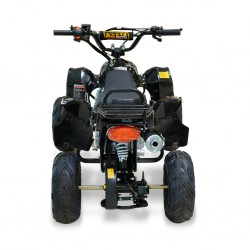 Easy One Polaris Black 110cc