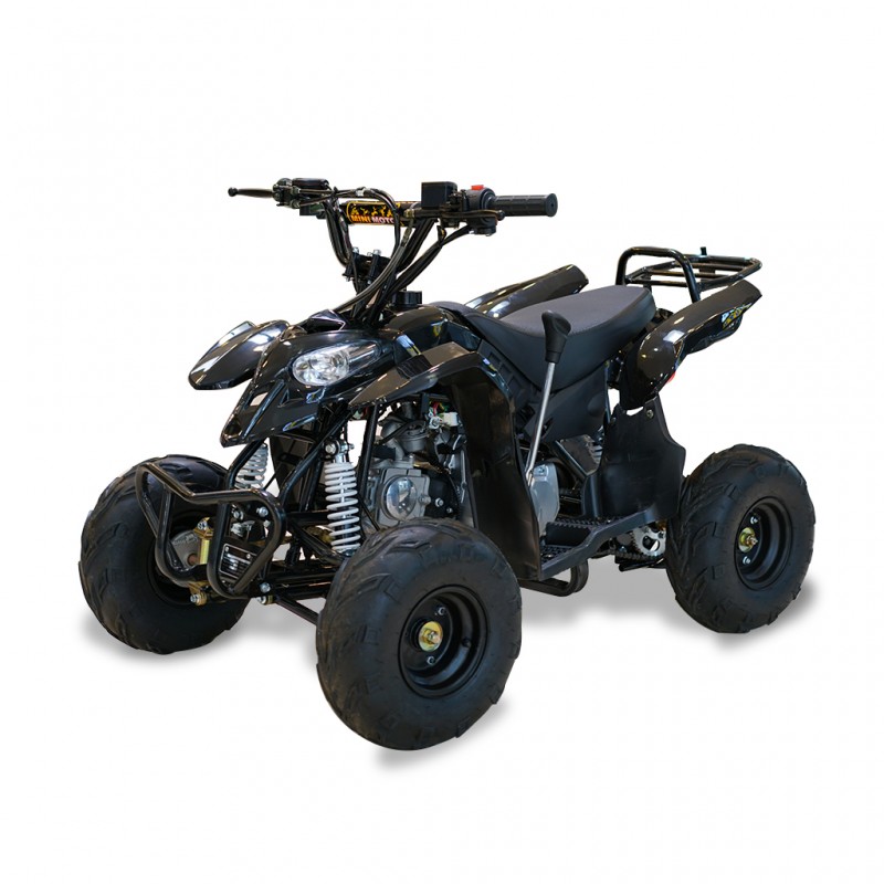 Easy One Polaris Black 110cc