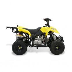 Easy One Polaris Yellow 110cc