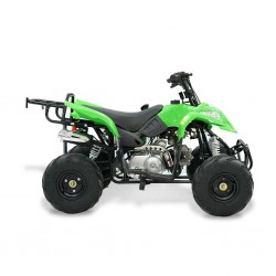 Easy One Polaris Green 110cc