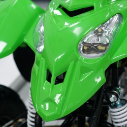 Easy One Polaris Green 110cc