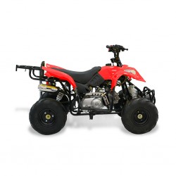 Easy One Polaris Red 110cc