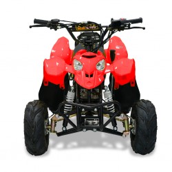 Easy One Polaris Red 110cc