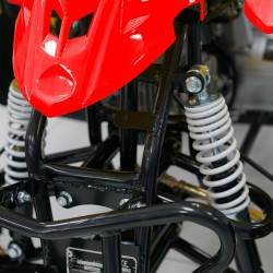 Easy One Polaris Red 110cc