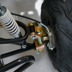 Easy One Polaris Red 110cc