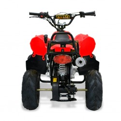 Easy One Polaris Red 110cc
