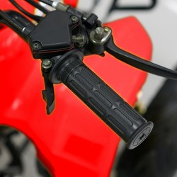 Easy One Polaris Red 110cc