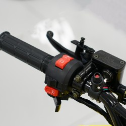 Easy One Polaris Red 110cc