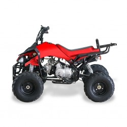 Easy One Kawa Red 110cc